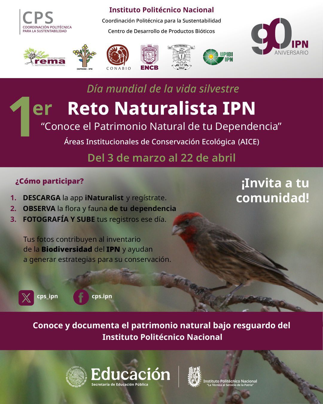 1er Reto Naturalista IPN 2026