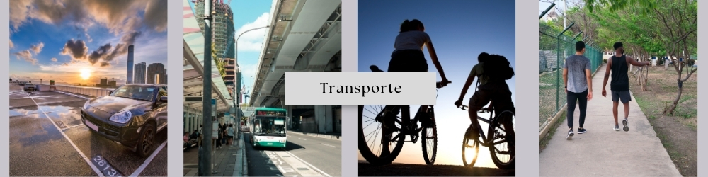 Transporte