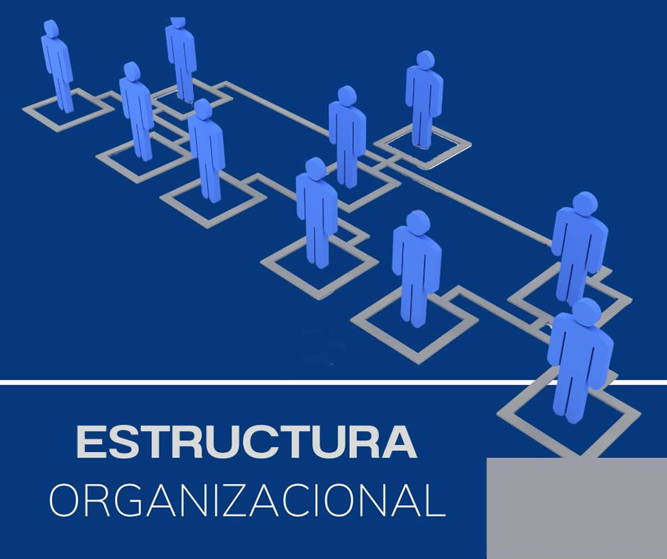 estructura organizacional