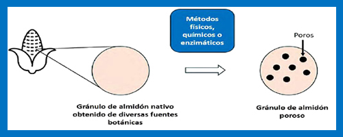 almidon poroso