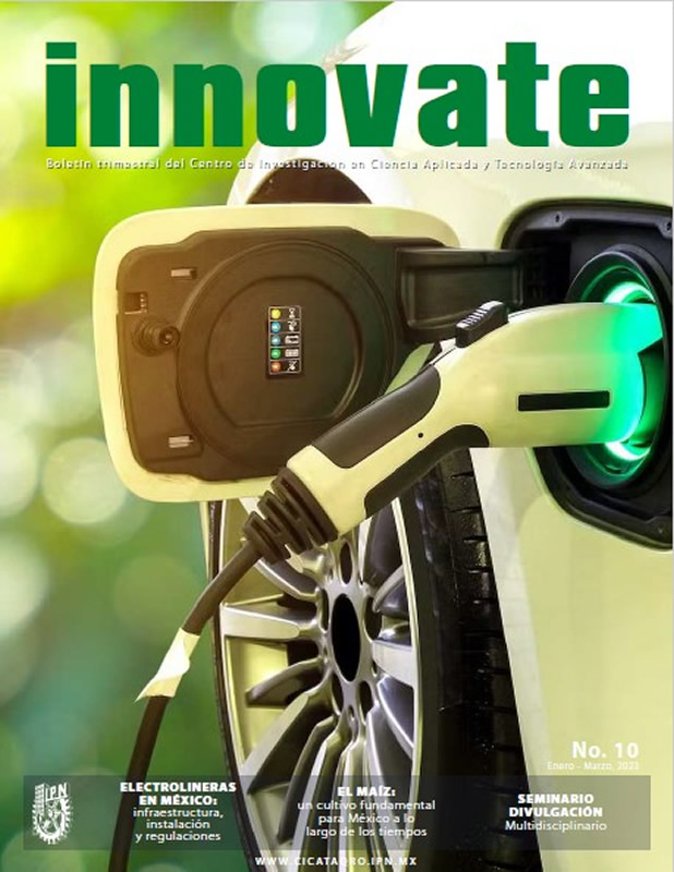 Revista Innovate No. 10