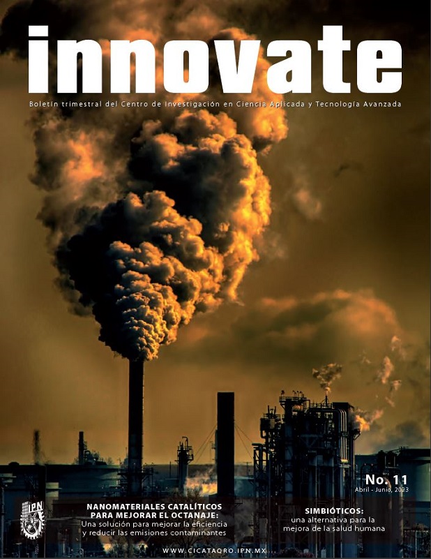 Revista Innovate No. 11