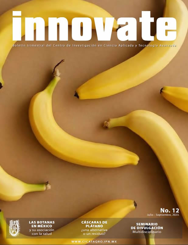 Revista Innovate No. 12