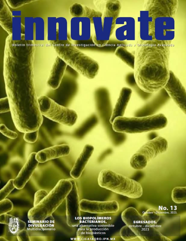 Revista Innovate No. 13