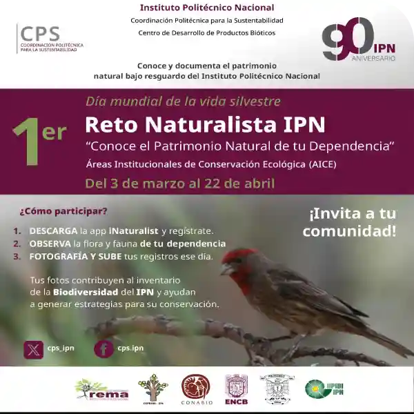 reto naturista